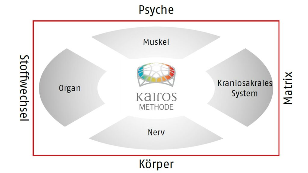 4x4 Faktoren-Modell der Kairos-Methode. Zusammenspiel von Psyche, Matrik, Körper und Stoffwechsel.
